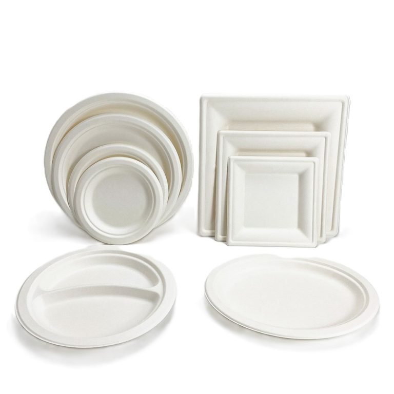 1甘蔗渣盘子BAGASSE PLATES